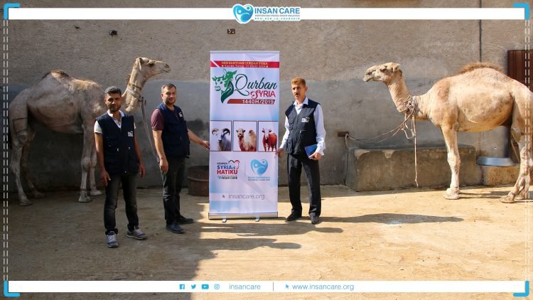 Qurban Project in Syria
