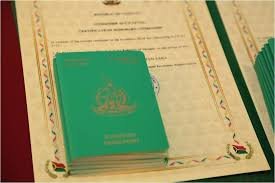 The Comprehensive Guide to the Cost of Vanuatu Citizenship 894852627
