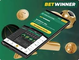 Understanding Betwinner Withdrawal A Comprehensive Guide 874095783
