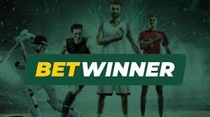 Experience Thrilling Gaming with BetWinner Live Casino