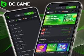 Explore the Future of Betting with BC.Game Online Casinos
