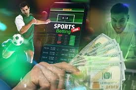 Todo lo que necesitas saber sobre Betwinner una guía completa Todo lo que necesitas saber sobre Betwinner una guía completa