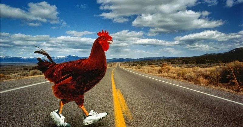 Descubre el misterioso viaje de Chicken Road en el casino en línea español, chicken road españa