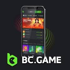Exploring BC Game in Bangladesh A New Wave of Online Gaming