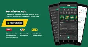 The Ultimate Guide to BetWinner Bookmaker Explore Its Features, Benefits, and More