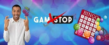 Understanding What Bingo Sites Are Not A Complete Guide
